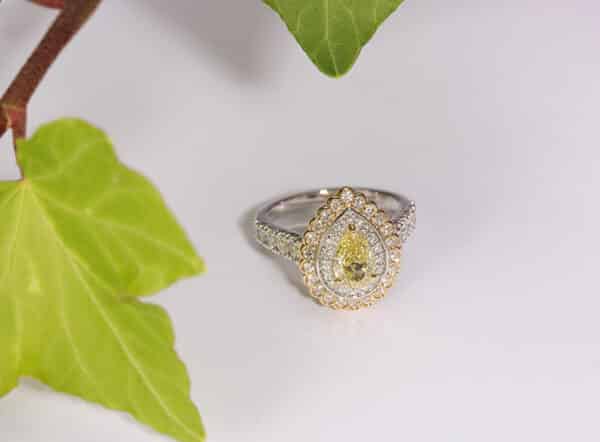 Abrecht Bird, Abrecht Bird Jewellers, yellow diamond, pear, cluster ring, double halo ring, yellow gold, white gold, ring,